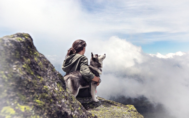 Connection with Animals, virtue of the goddess Artemis; How to Feel Safe to Walk Around the World as a Woman; carlalima.com/blog