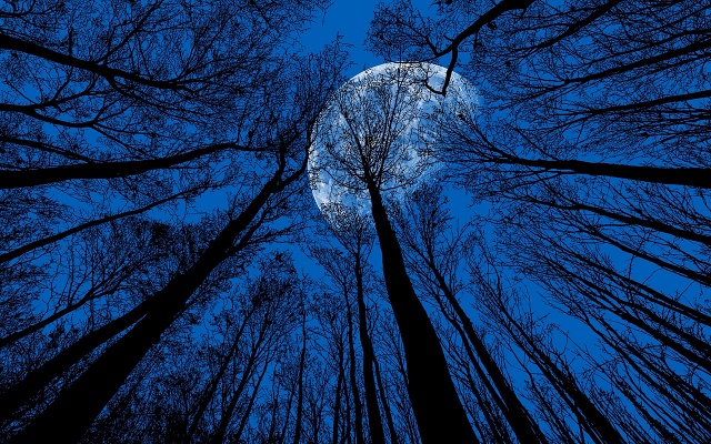 Lunar Wisdom, virtue of the goddess Artemis; How to Feel Safe to Walk Around the World as a Woman; carlalima.com/blog